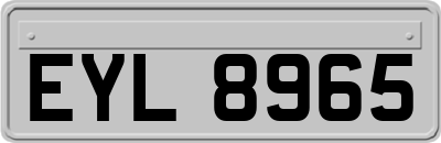 EYL8965