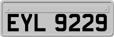 EYL9229