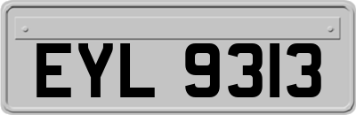 EYL9313