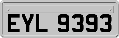 EYL9393