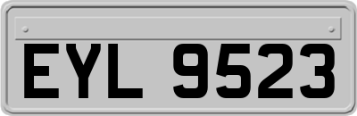 EYL9523
