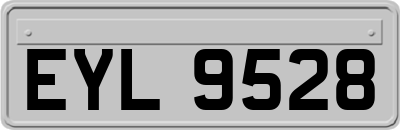 EYL9528