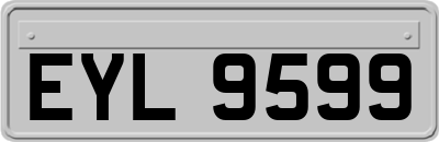 EYL9599