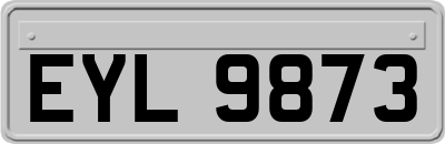 EYL9873