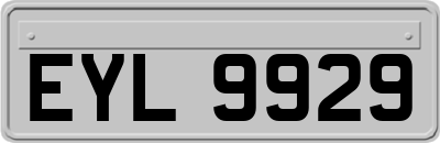 EYL9929
