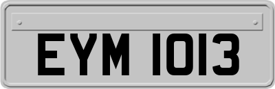EYM1013