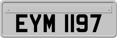 EYM1197