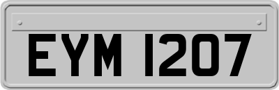 EYM1207