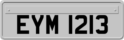 EYM1213