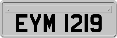 EYM1219
