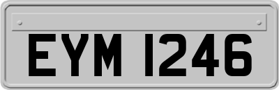 EYM1246