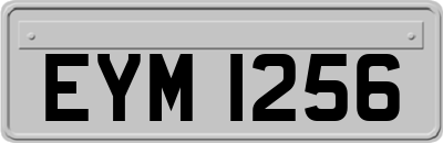 EYM1256