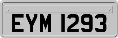 EYM1293