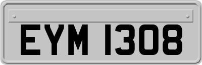 EYM1308