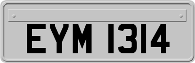 EYM1314