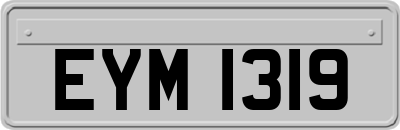 EYM1319
