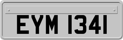 EYM1341