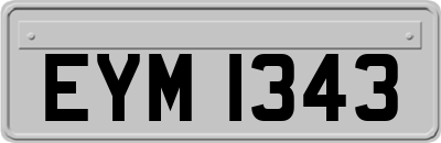 EYM1343