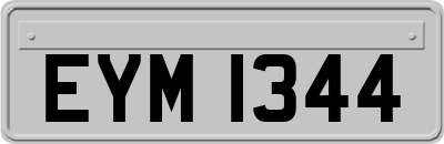 EYM1344