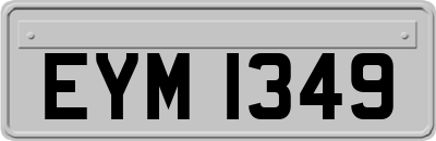 EYM1349