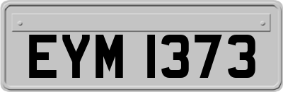 EYM1373