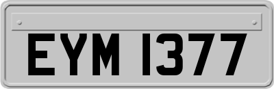 EYM1377
