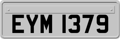 EYM1379