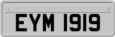 EYM1919