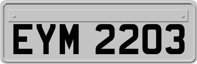 EYM2203