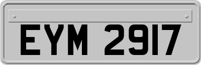 EYM2917