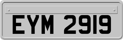 EYM2919