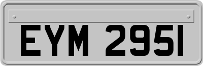 EYM2951