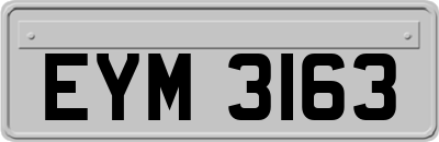 EYM3163