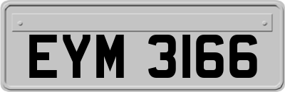 EYM3166