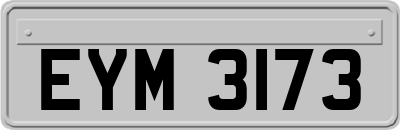 EYM3173