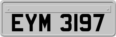 EYM3197