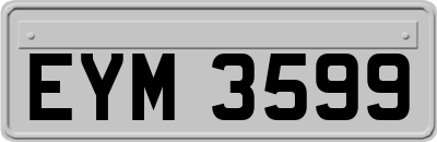 EYM3599