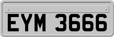EYM3666
