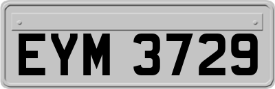 EYM3729