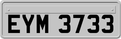 EYM3733