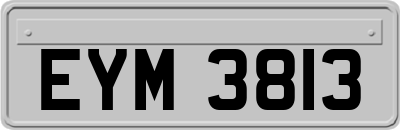 EYM3813