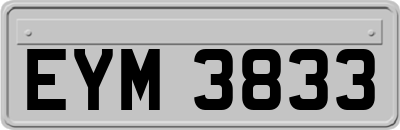 EYM3833