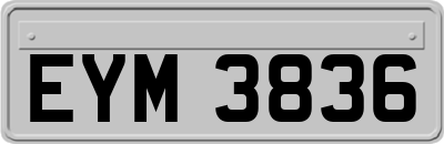 EYM3836