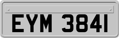 EYM3841