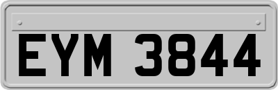 EYM3844