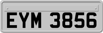 EYM3856