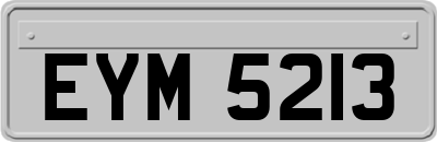 EYM5213