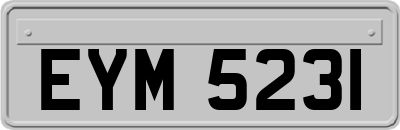 EYM5231