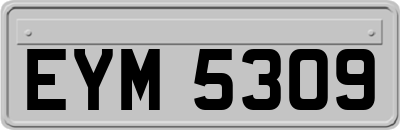 EYM5309