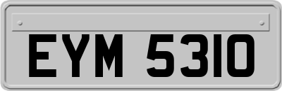 EYM5310